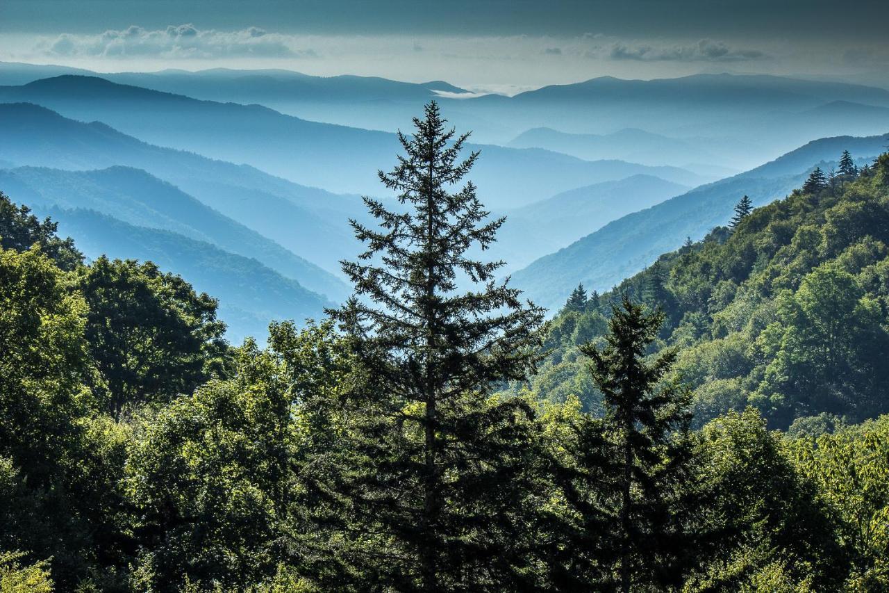 Lazy Bear Den Sevierville Exterior foto