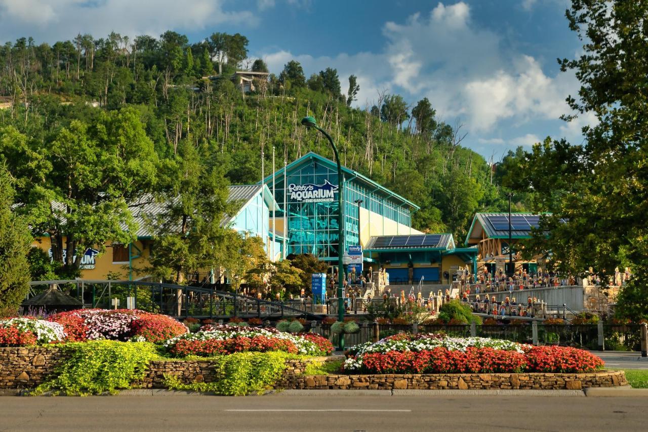 Lazy Bear Den Sevierville Exterior foto